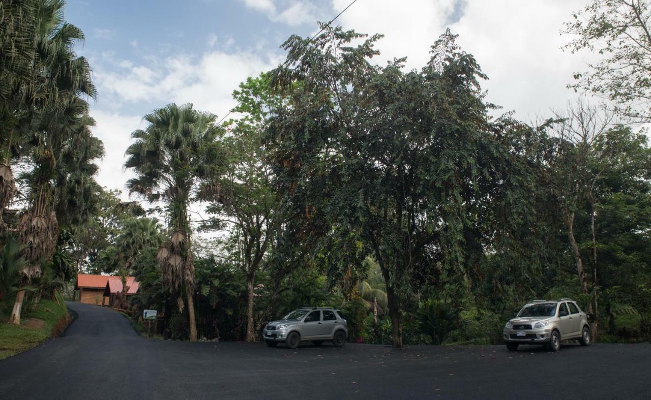 Hotel Pedacito De Cielo Boca Tapada Luaran gambar
